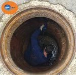 fosa septica, embozo, limpieza, Girojet, Girona